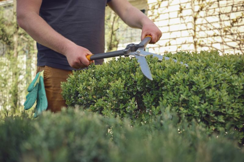 Shrub Trimming Tools in Use