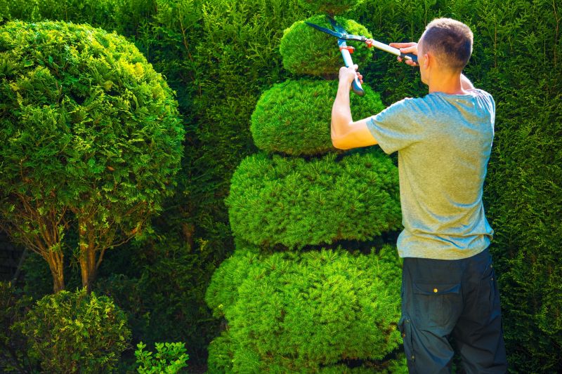 Seasonal Landscape Care