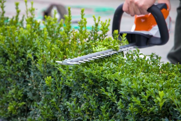 Hedge Shearing in Bonita Springs