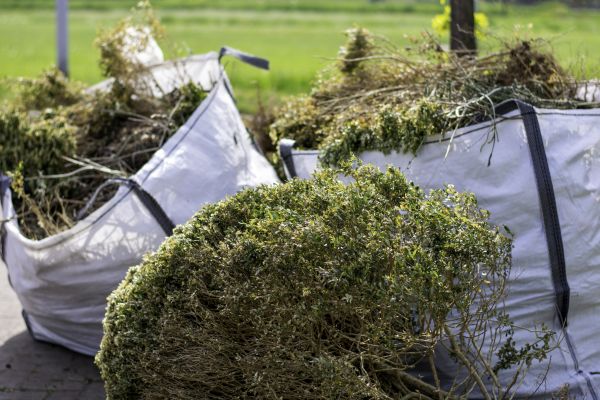 Shrubs Removal in Bonita Springs
