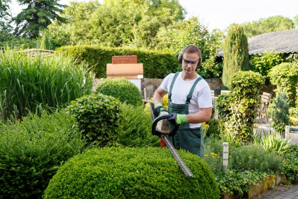 Shrubs Trimming in Bonita Springs